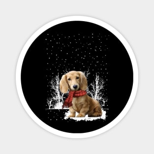 Christmas Cream Dachshund With Scarf In Winter Forest Magnet